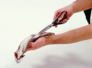آموزش تصویری تمیز کردن ماهی قزل آلا