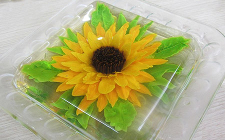 injectable-gel-sunflower-e6